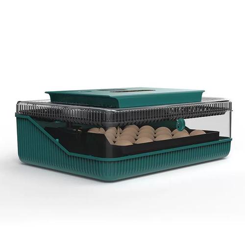 工廠直供25枚跨境新品全自動孵化機家禽爬寵小雞鳥鴨鸚鵡孵化器