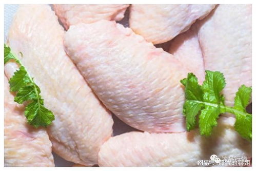 中國叫停某國四家家禽企業產品輸華，行業影響與未來展望