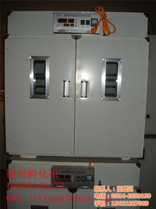 專業孵化設備選擇指南 聚焦沅江孵化機、優質廠家與家禽孵化箱